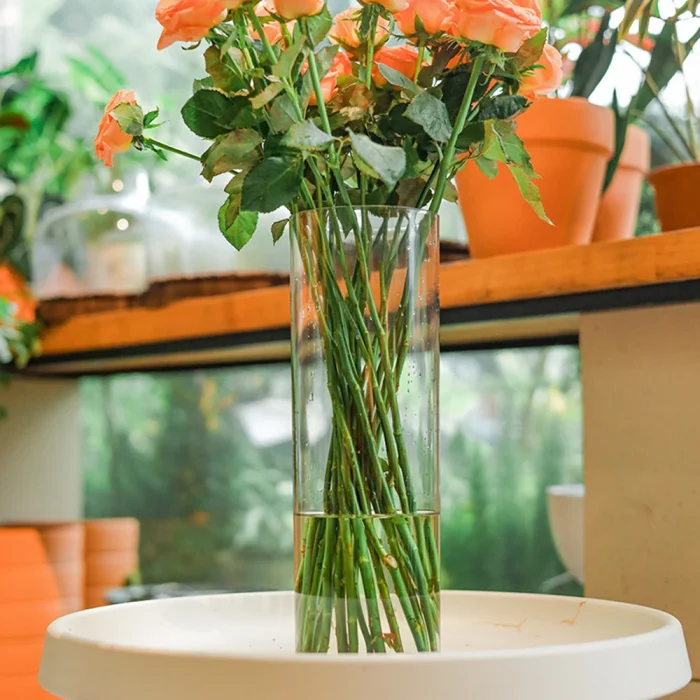 Acrylic Clear Large Tall Cylinder Flower Vase Anti-shatter Plastic Transparent Vases Unbreakable Wedding Home Hydroponic Decor 5