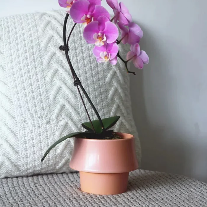 Creative Irregular Ceramic Flower Pots Round Succulents Cactus Potted Perforated Living Room Balcony Office Desktop Decoration 6