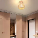 Home Hemprope Iron Ball Cage Ceiling Light Industrial Pastoral Ceiling Lamp E27 for Restaurant Kitchen Dinning Room Cloakroom 5