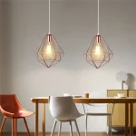 LOFT Iron Wire Cage Pendant Light Vintage Industrial Pendant Lamp Art Decor Hanging Lighting for Kitchen Living Room Restaurant 3