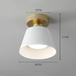 Ceiling Light For Aisle Corridor Home Light Decor Illumination Modern Simple cloakroom Entrance Porch LED Ceiling Lights 4