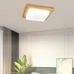 Modern LED Aisle Ceiling Lights Home Lighting Led Surface Mounted for Porch Bedroom Living Room Corridor Light Ceiling Lamps 4