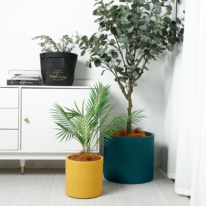 Nordic Industrial Style Colorful Ceramic Flowerpot Succulent Planter Pot With Hole Tray Green Plants Cylindrical Shape Flower 6
