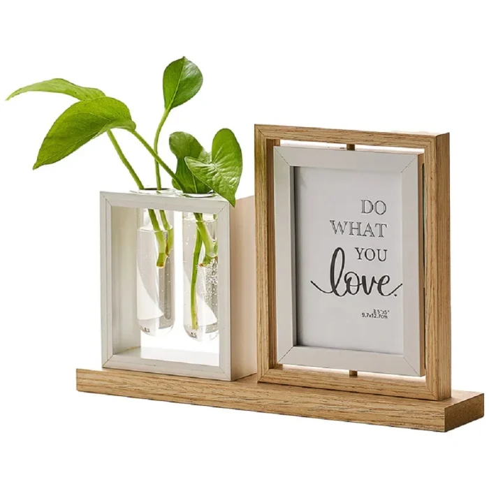 Creative Hydroponic Plant Photo Frame Table Entryway Living Room Tv Cabinet Study Desktop Decorations  Picture Frames 4