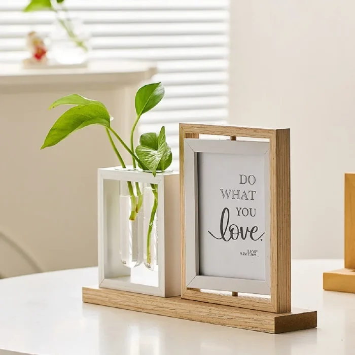 Creative Hydroponic Plant Photo Frame Table Entryway Living Room Tv Cabinet Study Desktop Decorations  Picture Frames 1