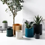 Nordic Industrial Style Colorful Ceramic Flowerpot Succulent Planter Pot With Hole Tray Green Plants Cylindrical Shape Flower 5