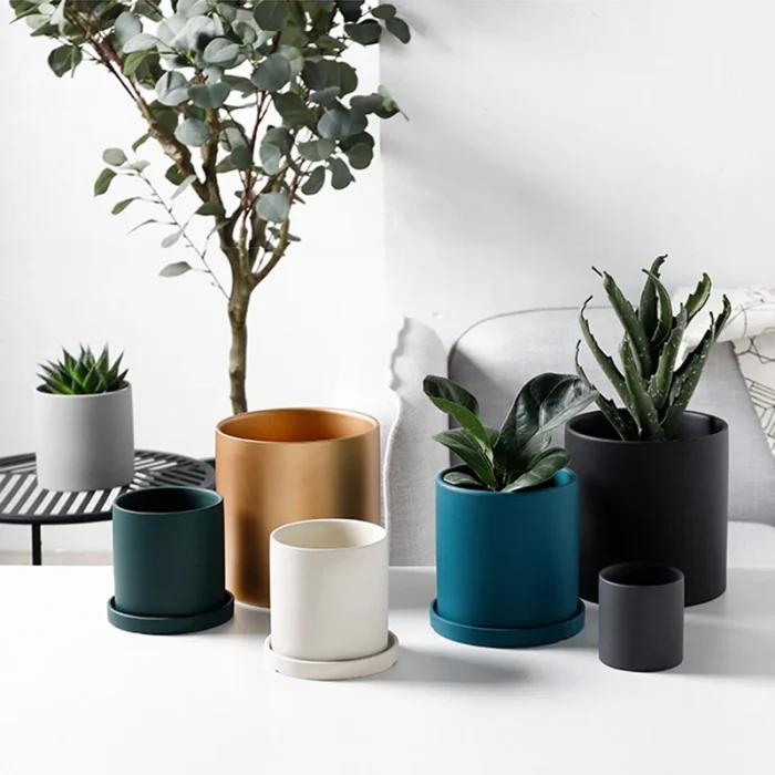 Nordic Industrial Style Colorful Ceramic Flowerpot Succulent Planter Pot With Hole Tray Green Plants Cylindrical Shape Flower 5